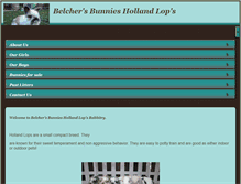 Tablet Screenshot of belchersbunnies.com